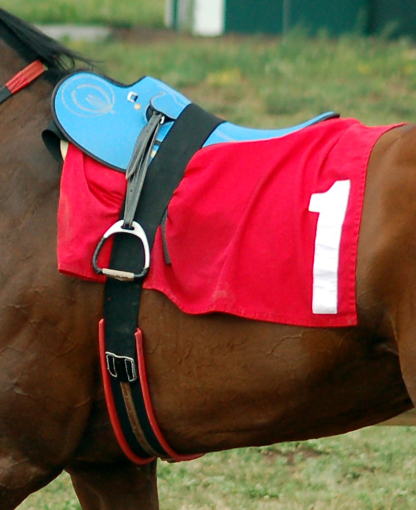 race horse sadle any color