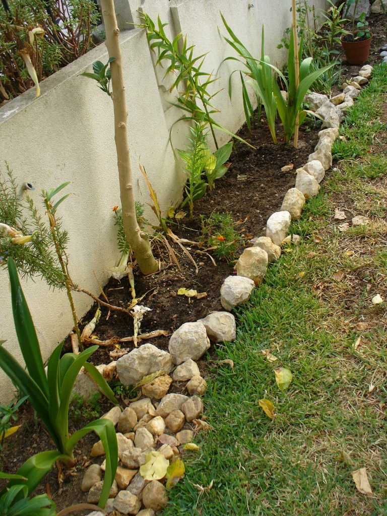 [jardim4+8set07.JPG]