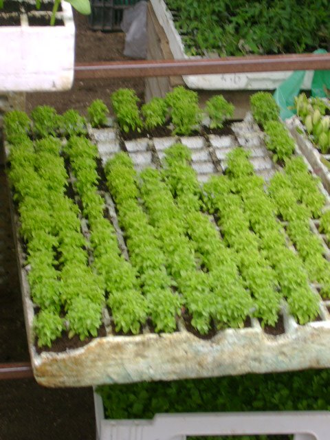 [DSC03228.JPG]