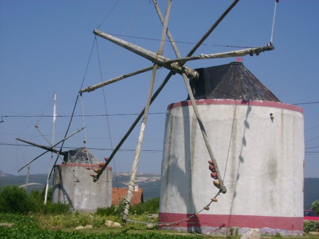 [DSC03541.JPG]