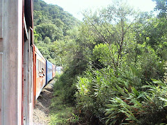 Trem Turístico Curitiba-Morretes-Paranaguá