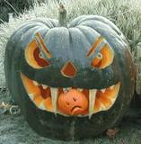 [th_pumpkin3.jpg]