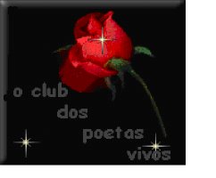 [rosa++poetas+[320x200].bmp]