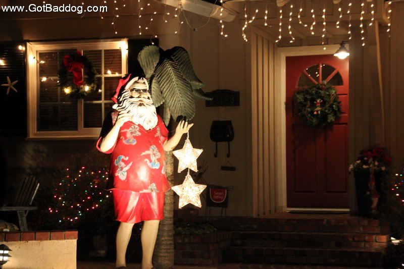 Gaylord opryland celladoraweddingphotography PBDesigns Crafts And Other Adventures: Christmas Day and The Lights at