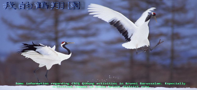 CSCQ QiGong in Brunei Darussalam