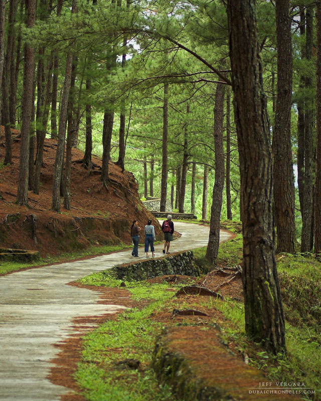Sagada Photos