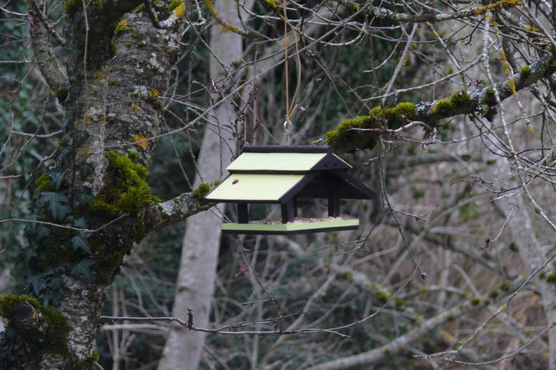 [construccuioncomederopajaros_3.JPG]