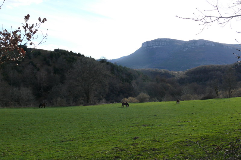 [excursionlargaburras_6.JPG]