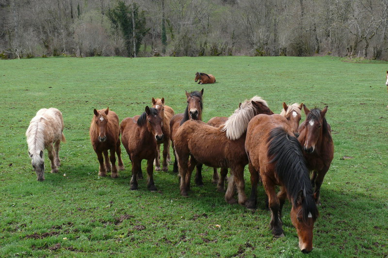 [campoburras_03.JPG]