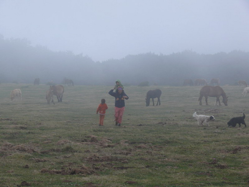 [entrenieblas+arrieta_01.jpg]