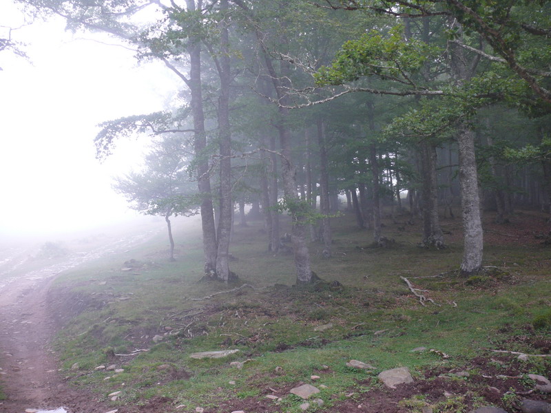 [entrenieblas+arrieta_09.JPG]