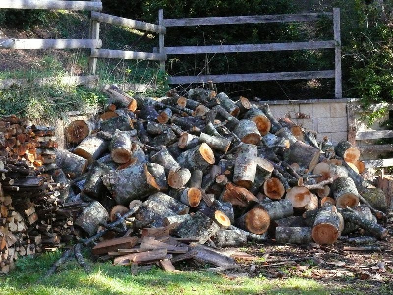 [otoñadatentación_6.JPG]