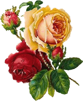 See the source image