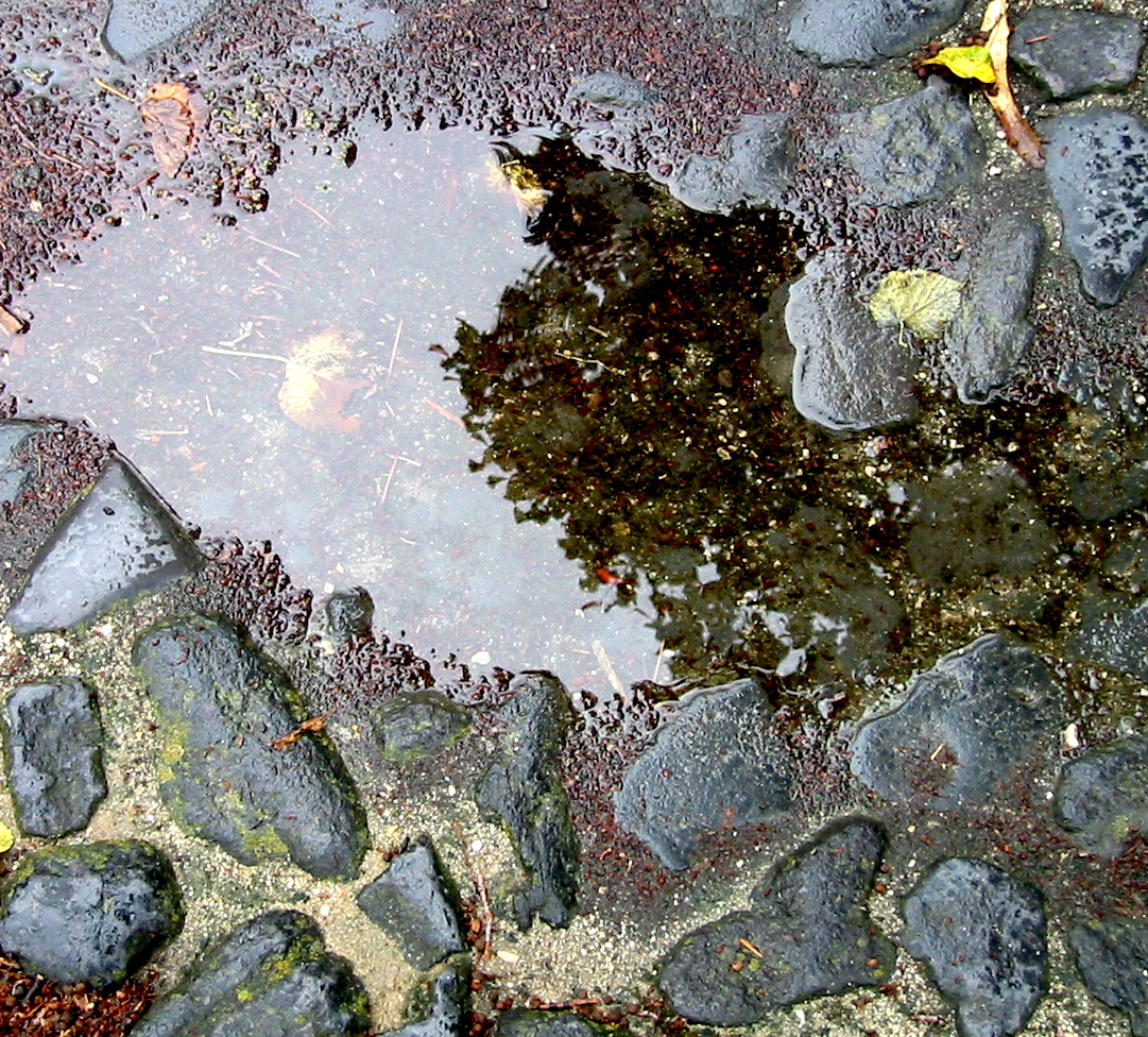 [IMG_4959.JPG]