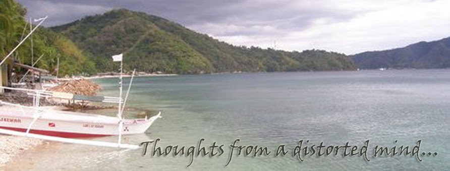Thoughts from a distorted mind...