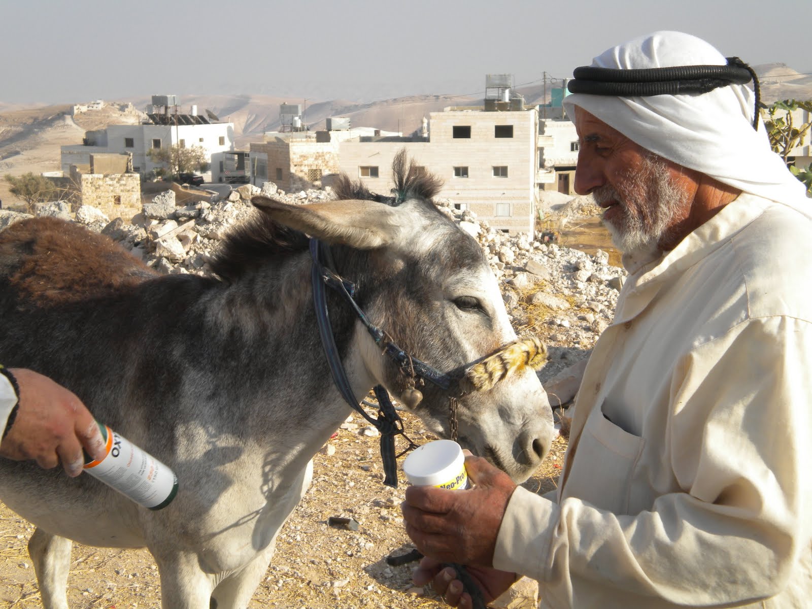 Alli in Palestine Donkey treatment excursion