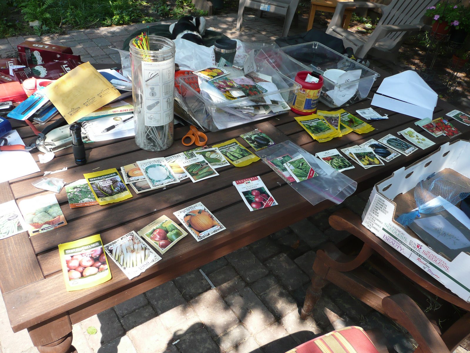 [P1010343.JPG]