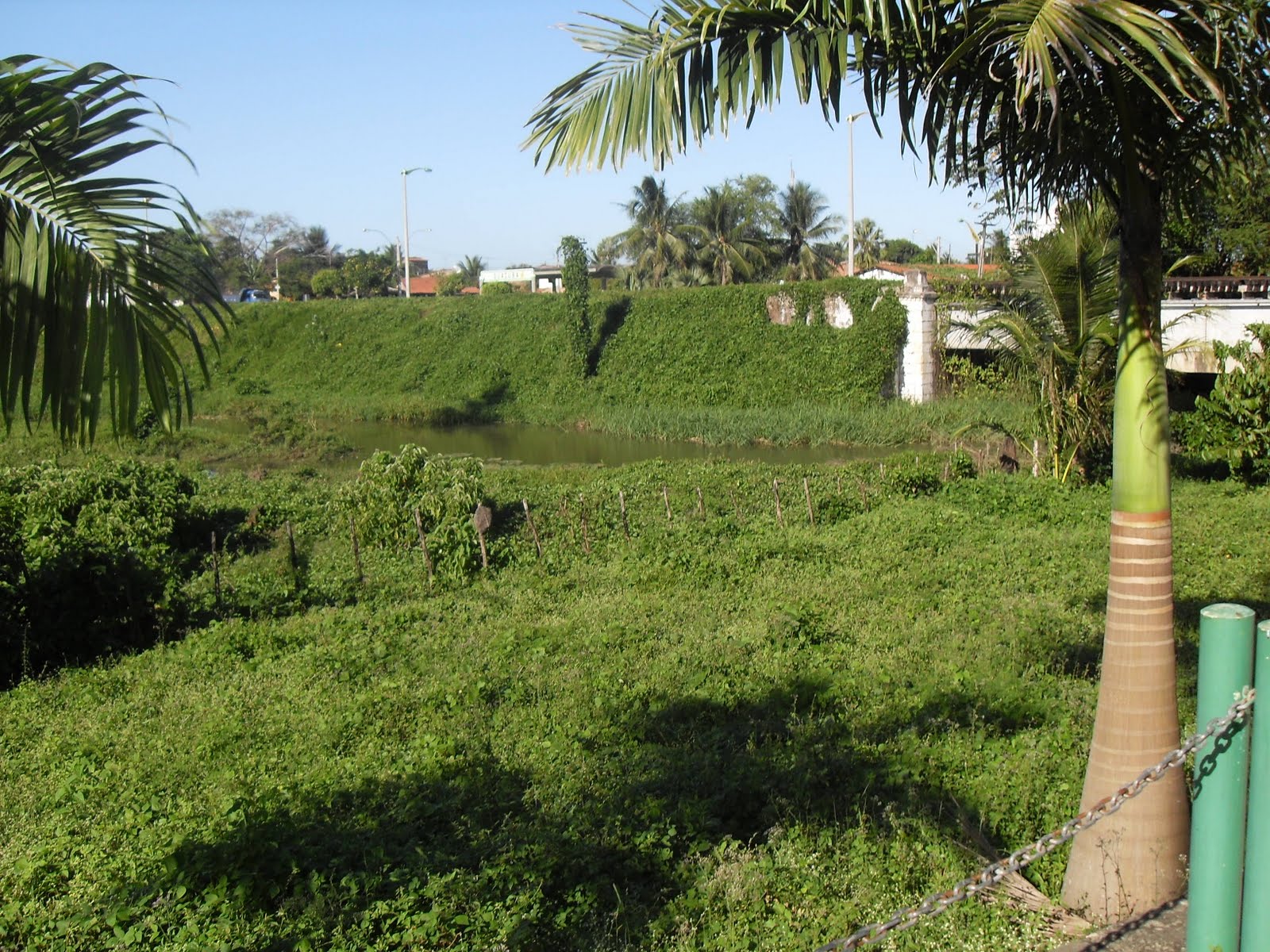 [SDC11262.JPG]