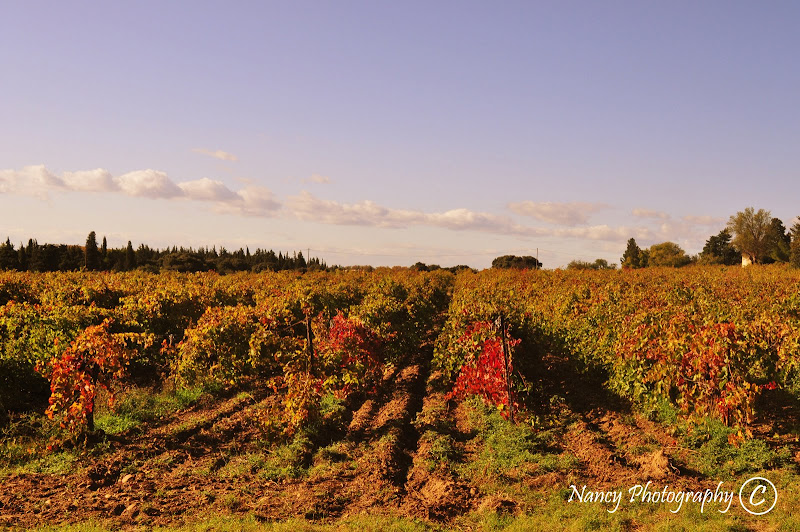 relaisoleil rencontres accueil 2001