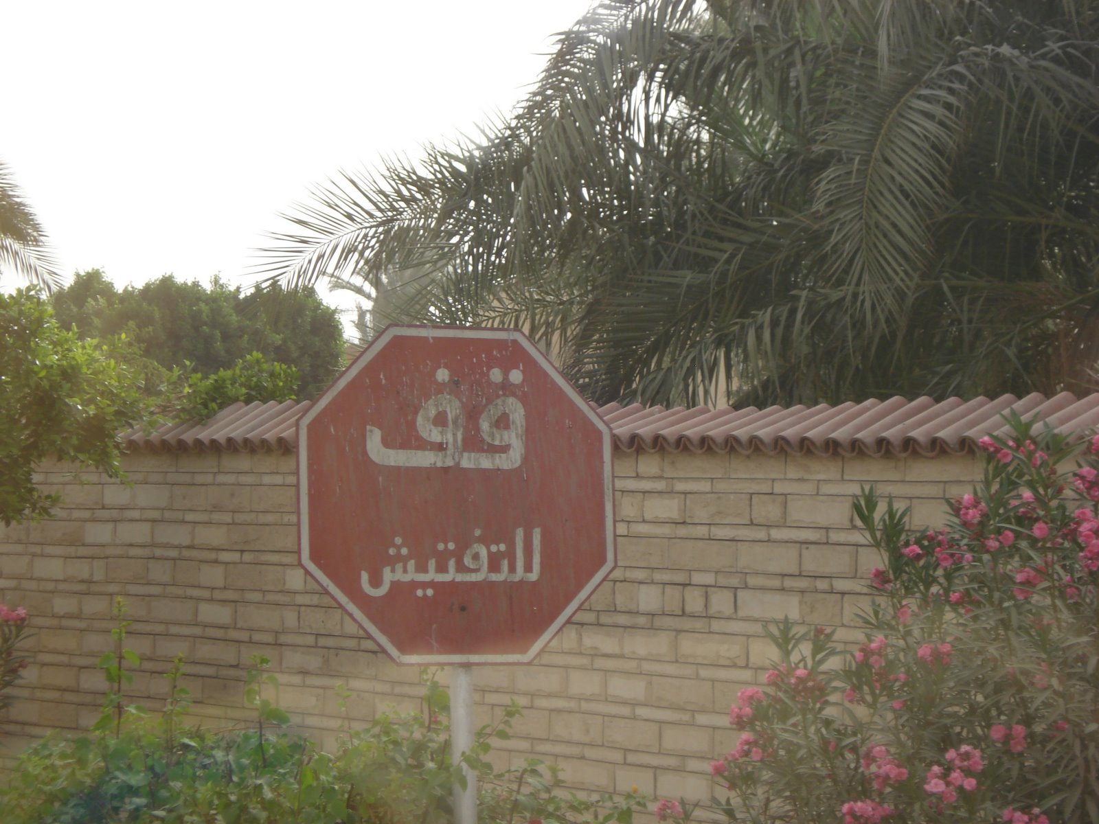 egypt views