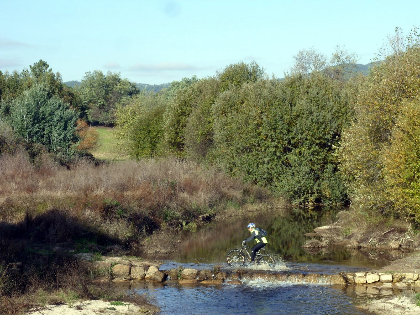 [SDC11877.JPG]