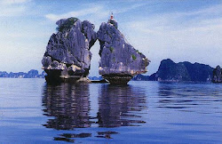 Hen - Cock fighting in Ha Long Bay