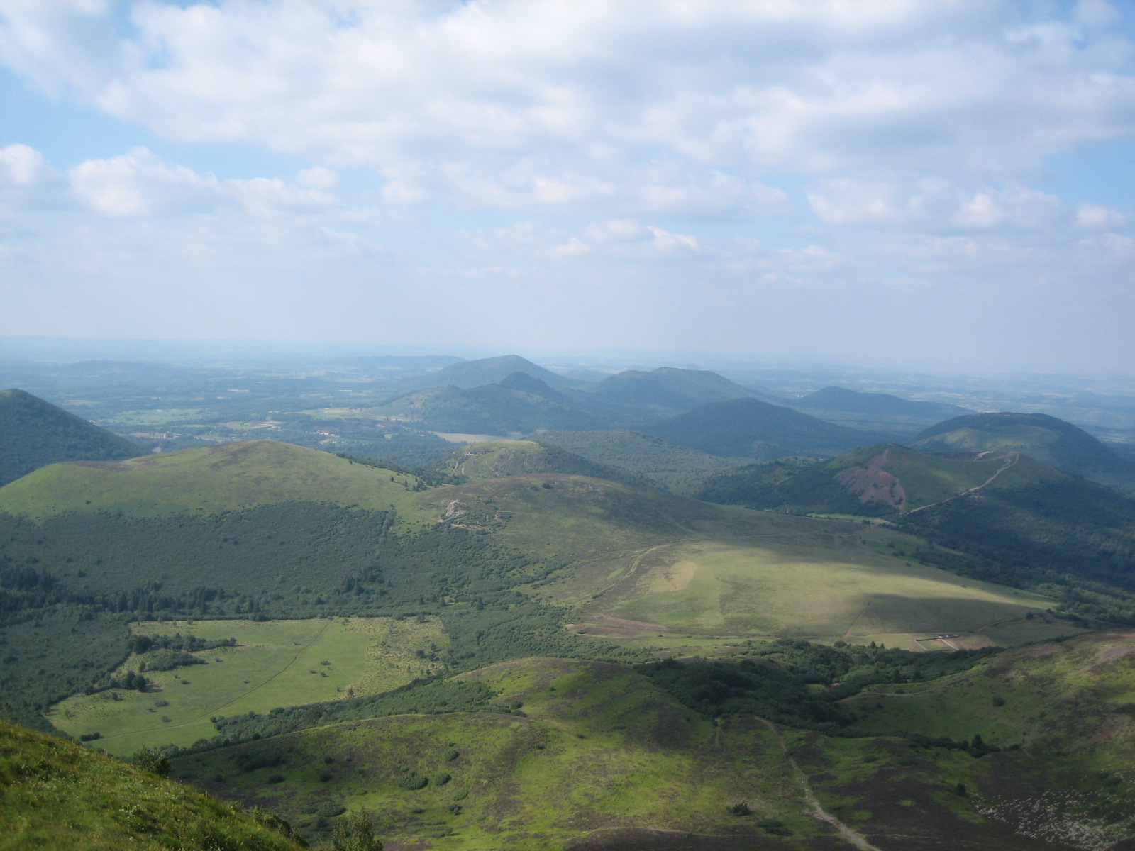 [IMG_1654.JPG]