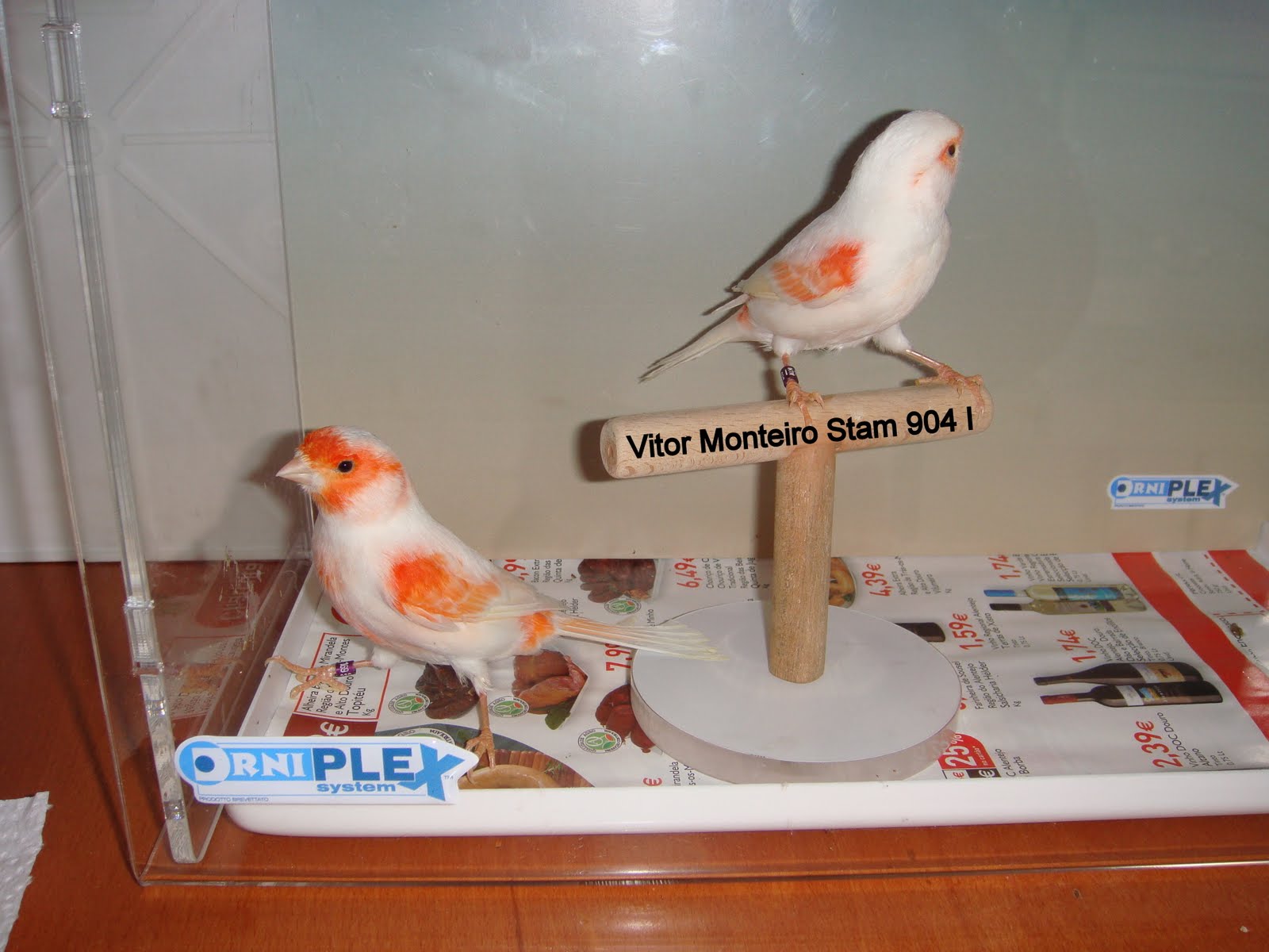 [DSC01605.JPG]