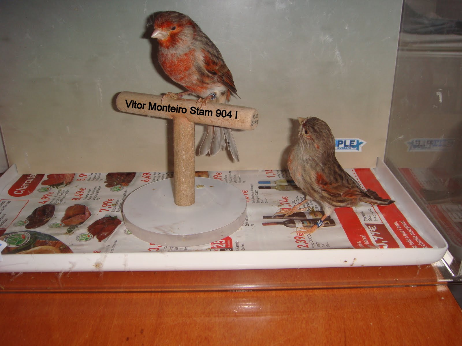 [DSC01628.JPG]
