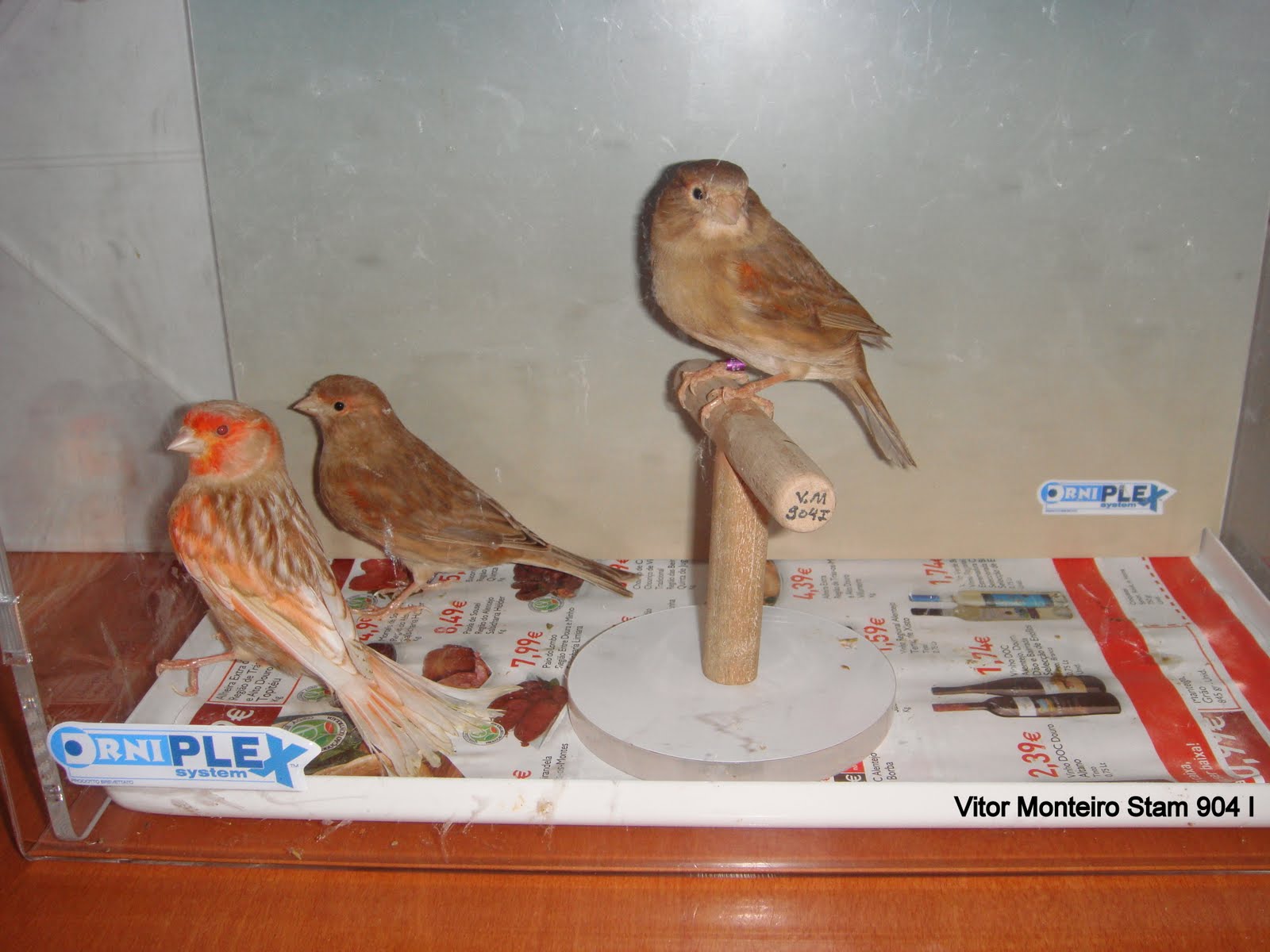 [DSC01634.JPG]