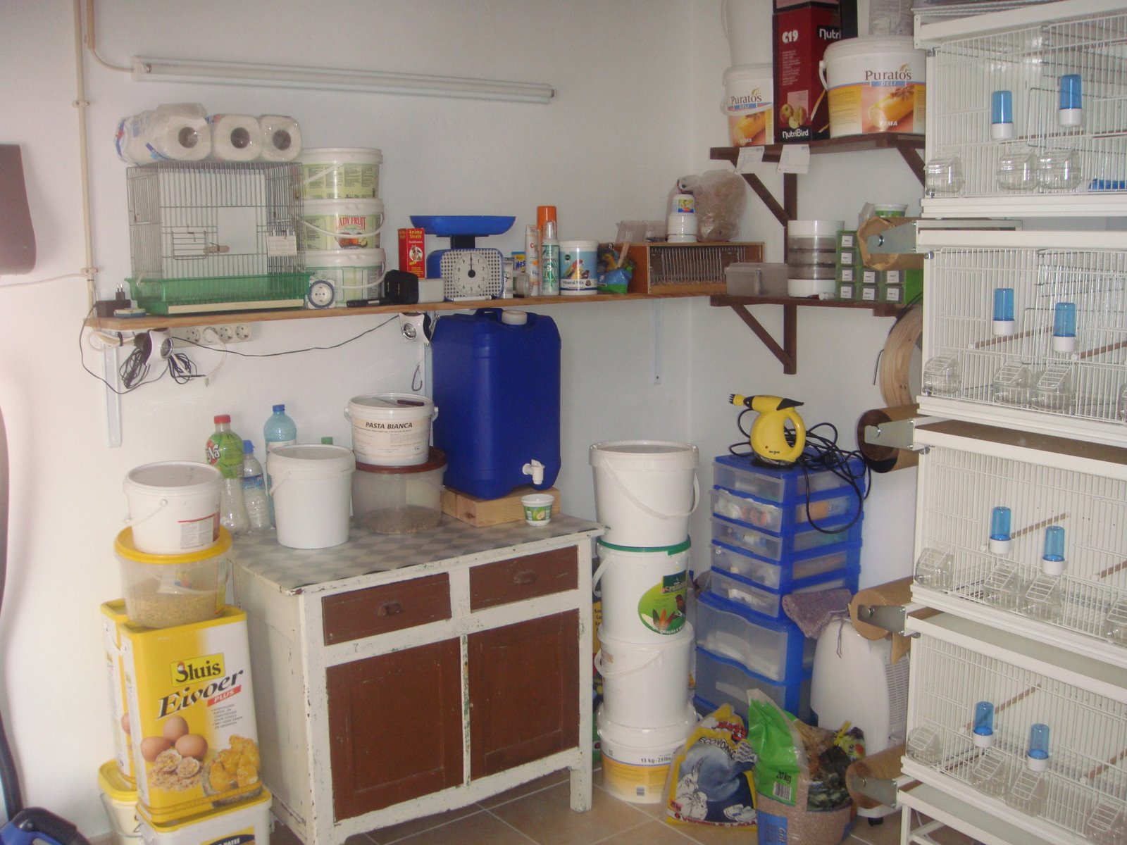 [DSC09961.JPG]