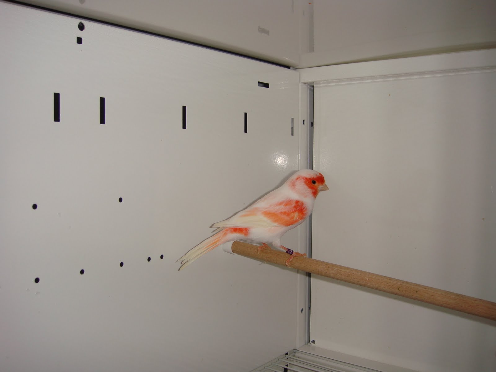 [DSC01334.JPG]