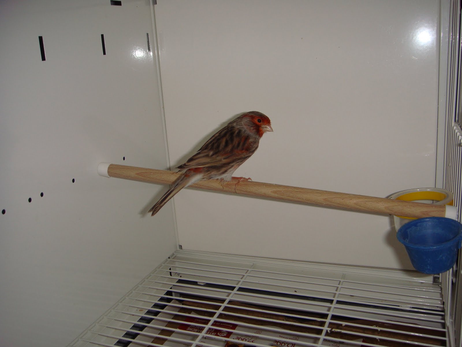 [DSC01346.JPG]