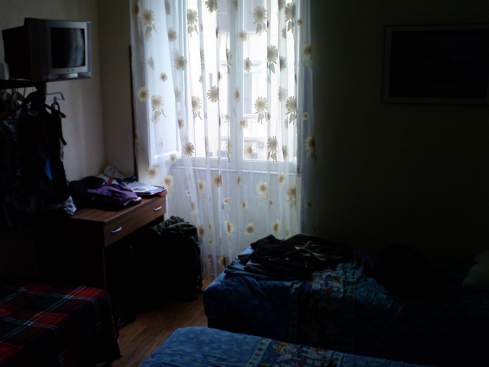 [DSC00435.JPG]