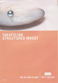 STRUCTURED INVEST