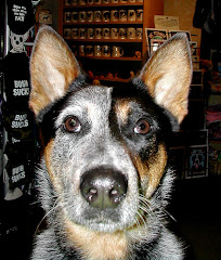 Check out theDogWorks Cattle Dog