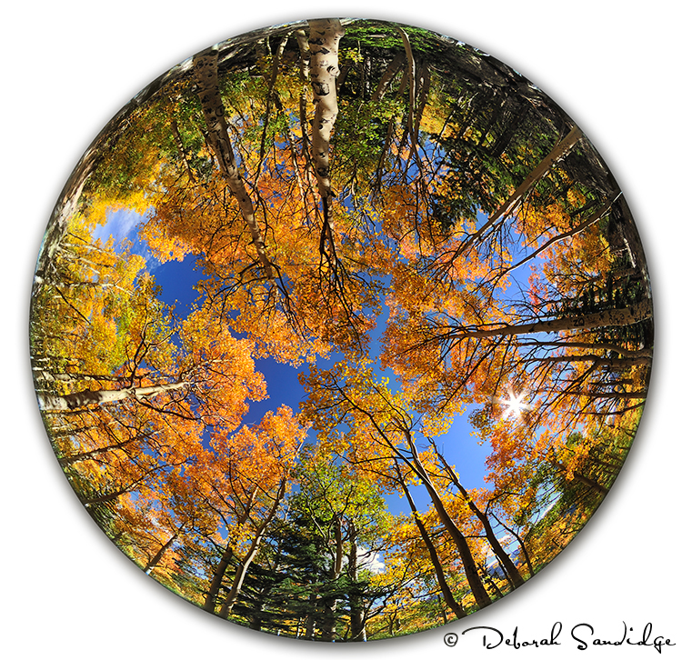photo plus expo promo code photo plus expo promo code