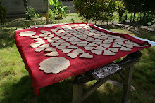 Enbal, Roti Kei / Ohoira 2009