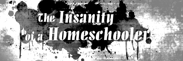 The Insanity of a Homeschooler