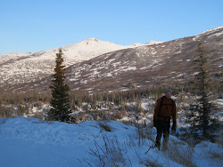 November Hike in the Chugach Mts.