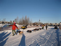 Dog Sled Race at Tozier Track