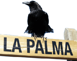 La Palma Nachrichten