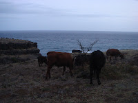 Southeast Maui