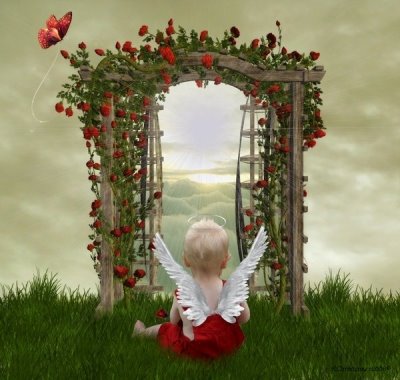 [EL+ANGEL+DE+LOS+NIÃ‘OS.jpg]