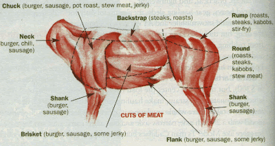 SOUNDING MY BARBARIC GULP!: Venison Wellington