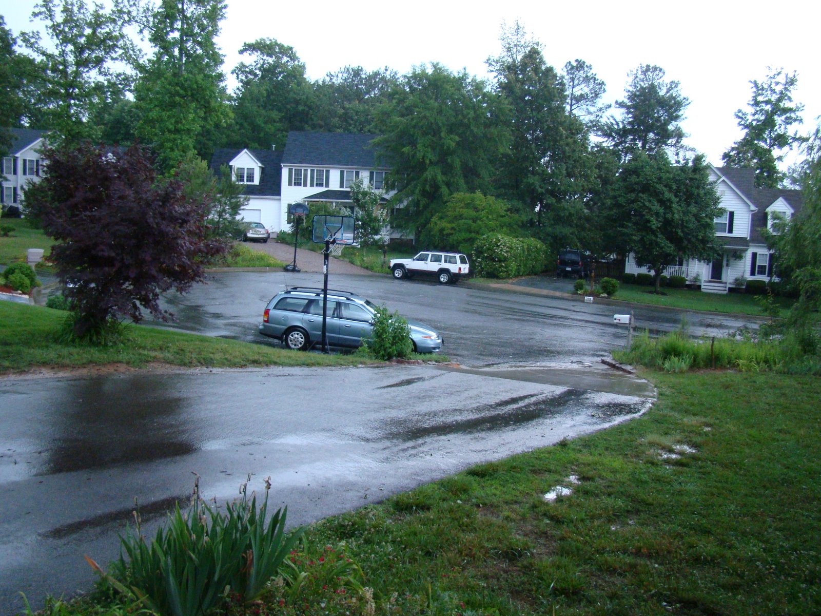 [DSC02593.JPG]