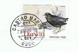 [8950+castro+marim.bmp]