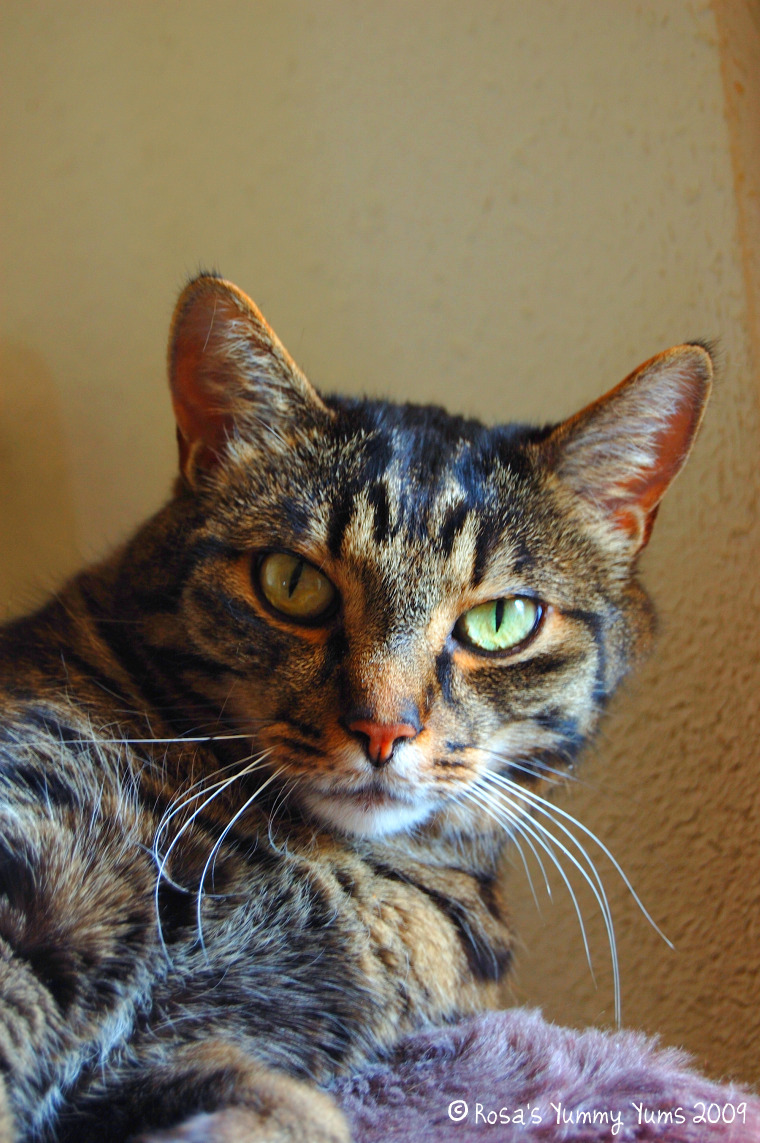 [Kiki+Portrait+2.jpg]