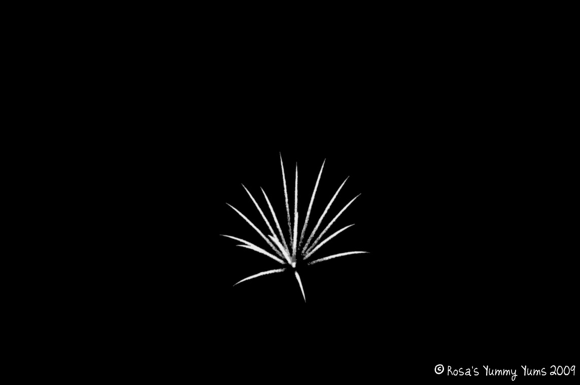 [Firework+2.5+bis.jpg]