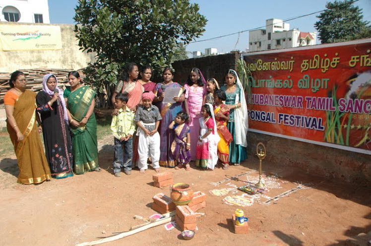 Pongal Festival - 2011